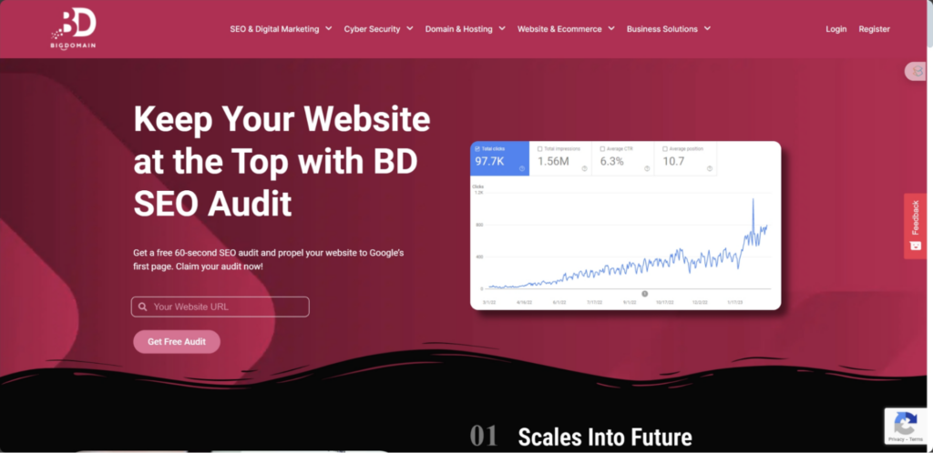 Free SEO Audit