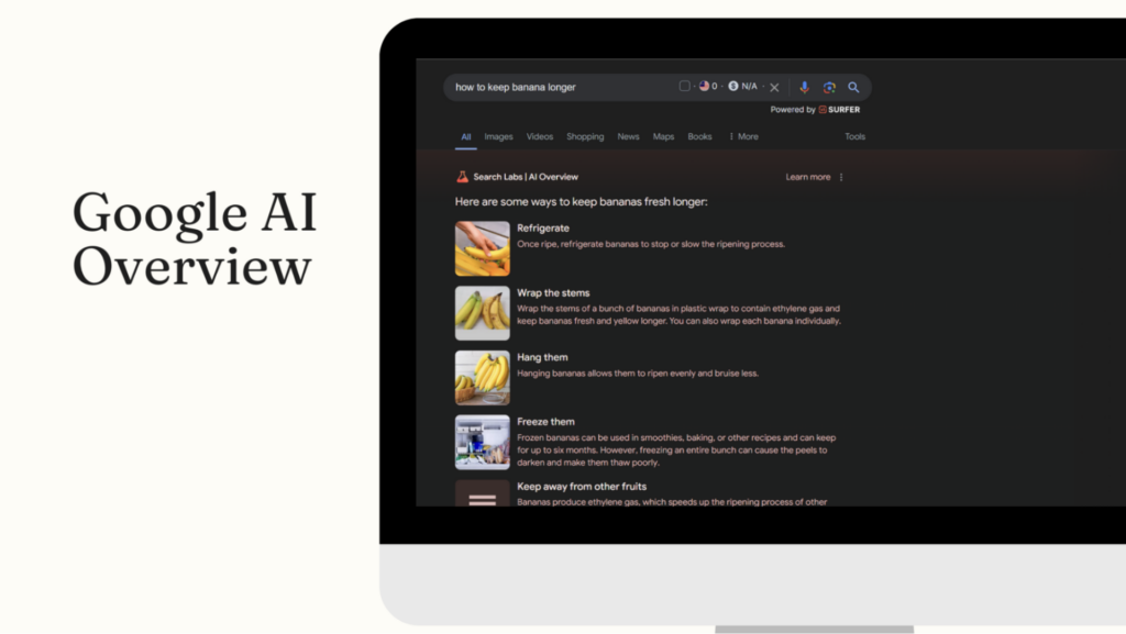 Zero-Click Searches Trend: Impact from Google AI Overview
